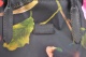 Zobrazit detailn foto
