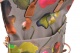 Zobrazit detailn foto