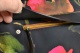 Zobrazit detailn foto