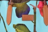 Zobrazit detailn foto